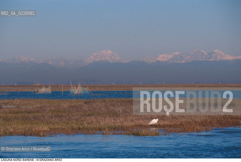 Caption: Localizzazione:..VENEZIA / LAGUNA NORD..Oggetto:..Soggetto:..VERSO BURANO BARENE  MONTAGNE..Cronologia: ....Definizione Culturale:..   Autore: ..   Stile: ..   Editori/Stampatori:..   Committenza:..Materia e Tecnica:..Collocazione:..Note:....Riproduzione Fotografica:..Graziano Arici/Rosebud2 .Copyright:..Graziano Arici/Rosebud2 .Data:..1995..Costo:..A