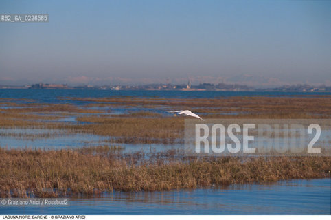 Caption: Localizzazione:..VENEZIA / LAGUNA NORD..Oggetto:..Soggetto:..VERSO BURANO BARENE  UCCELLO..Cronologia: ....Definizione Culturale:..   Autore: ..   Stile: ..   Editori/Stampatori:..   Committenza:..Materia e Tecnica:..Collocazione:..Note:....Riproduzione Fotografica:..Graziano Arici/Rosebud2 .Copyright:..Graziano Arici/Rosebud2 .Data:..1995..Costo:..A