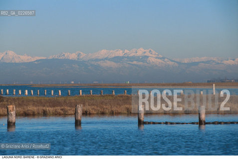 Caption: Localizzazione:..VENEZIA / LAGUNA NORD..Oggetto:..Soggetto:..VERSO BURANO BARENE  MONTAGNE PALI..Cronologia: ....Definizione Culturale:..   Autore: ..   Stile: ..   Editori/Stampatori:..   Committenza:..Materia e Tecnica:..Collocazione:..Note:....Riproduzione Fotografica:..Graziano Arici/Rosebud2 .Copyright:..Graziano Arici/Rosebud2 .Data:..1995..Costo:..A