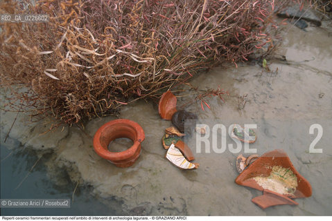 Caption: Nome:..ISOLA DEL LAZZARETTO NUOVO....Localizzazione:..VENEZIA / ISOLA DEL LAZZARETTO NUOVO / LAGUNA NORD..VENICE / THE ISLE OF LAZZARETTO NUOVO / THE NORTH LAGOON..Soggetto:..ISOLA DEL LAZZARETTO NUOVO / ..ARCHEOLOGIA..Reperti ceramici frammentari recuperati nell’ambito di interventi di archeologia lagunare...Cronologia:......Autore:.. ....Stile:......Editori Stampatori:......Committenza:......Materia e Tecnica:......Collocazione:..TESON GRANDO / ISOLA DEL LAZZARETTO NUOVO....Note:..NEL XV SEC. DIVENTA LAZZARETTO PER LESPURGO DELLE MERCI E SUCCESSIVAMENTE DELLE PERSONE SOSPETTE DI CONTAGIO. DOPO LA PESTILENZA DEL XVI SEC. VIENE ABBANDONATA E NEL 1800 DIVENTA ZONA MILITARE ..THE ISLAND BECAME A QUARANTINE STATION IN XVth CENTURY, FIRST FOR GOODS AND LATER FOR INDIVIDUALS SUSPECTED OF BEING INFECTED. AFTER THE PLAGUES OF THE XVIth CENTURY, THE ISLAND WAS ABANDONED AND IT BECAME A MILITARY POST IN 1800 ..Riproduzione Fotografica:..Graziano Arici/Rosebud2 ...Copyright:..Graziano Arici / rosebud2/....Data:..1999....Costo:..A....Key:..ISOLE ABBANDONATE..UNINHABITED ISLANDS