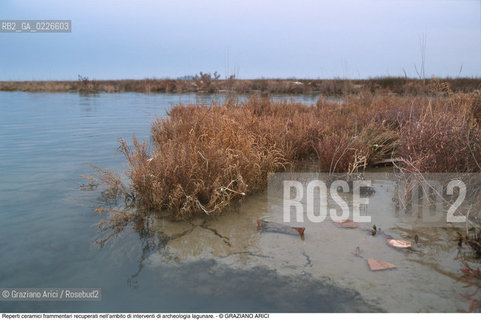 Caption: Nome:..ISOLA DEL LAZZARETTO NUOVO....Localizzazione:..VENEZIA / ISOLA DEL LAZZARETTO NUOVO / LAGUNA NORD..VENICE / THE ISLE OF LAZZARETTO NUOVO / THE NORTH LAGOON..Soggetto:..ISOLA DEL LAZZARETTO NUOVO / ..ARCHEOLOGIA..Reperti ceramici frammentari recuperati nell’ambito di interventi di archeologia lagunare...Cronologia:......Autore:.. ....Stile:......Editori Stampatori:......Committenza:......Materia e Tecnica:......Collocazione:..TESON GRANDO / ISOLA DEL LAZZARETTO NUOVO....Note:..NEL XV SEC. DIVENTA LAZZARETTO PER LESPURGO DELLE MERCI E SUCCESSIVAMENTE DELLE PERSONE SOSPETTE DI CONTAGIO. DOPO LA PESTILENZA DEL XVI SEC. VIENE ABBANDONATA E NEL 1800 DIVENTA ZONA MILITARE ..THE ISLAND BECAME A QUARANTINE STATION IN XVth CENTURY, FIRST FOR GOODS AND LATER FOR INDIVIDUALS SUSPECTED OF BEING INFECTED. AFTER THE PLAGUES OF THE XVIth CENTURY, THE ISLAND WAS ABANDONED AND IT BECAME A MILITARY POST IN 1800 ..Riproduzione Fotografica:..Graziano Arici/Rosebud2 ...Copyright:..Graziano Arici / rosebud2/....Data:..1999....Costo:..A....Key:..ISOLE ABBANDONATE..UNINHABITED ISLANDS