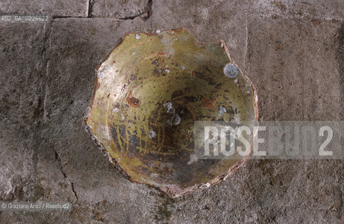 Caption: Nome:..ISOLA DEL LAZZARETTO NUOVO....Localizzazione:..VENEZIA / ISOLA DEL LAZZARETTO NUOVO / LAGUNA NORD..VENICE / THE ISLE OF LAZZARETTO NUOVO / THE NORTH LAGOON..Soggetto:..ISOLA DEL LAZZARETTO NUOVO / ..Ciotola rinvenuta nel Canal Grande nei pressi dei relitti medievali di piccole imbarcazioni..ARCHEOLOGIA..Cronologia:..SEC. XIII....Autore:.. ....Stile:......Editori Stampatori:......Committenza:......Materia e Tecnica:......Collocazione:..TESON GRANDO / ISOLA DEL LAZZARETTO NUOVO....Note:..NEL XV SEC. DIVENTA LAZZARETTO PER LESPURGO DELLE MERCI E SUCCESSIVAMENTE DELLE PERSONE SOSPETTE DI CONTAGIO. DOPO LA PESTILENZA DEL XVI SEC. VIENE ABBANDONATA E NEL 1800 DIVENTA ZONA MILITARE ..ARCHEOLOGIA..THE ISLAND BECAME A QUARANTINE STATION IN XVth CENTURY, FIRST FOR GOODS AND LATER FOR INDIVIDUALS SUSPECTED OF BEING INFECTED. AFTER THE PLAGUES OF THE XVIth CENTURY, THE ISLAND WAS ABANDONED AND IT BECAME A MILITARY POST IN 1800 ..Riproduzione Fotografica:..Graziano Arici/Rosebud2 ...Copyright:..Graziano Arici / rosebud2/....Data:..1999....Costo:..A....Key:..ISOLE ABBANDONATE..UNINHABITED ISLANDS