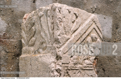 Caption: Nome:..ISOLA DEL LAZZARETTO NUOVO....Localizzazione:..VENEZIA / ISOLA DEL LAZZARETTO NUOVO / LAGUNA NORD..VENICE / THE ISLE OF LAZZARETTO NUOVO / THE NORTH LAGOON..Soggetto:..ISOLA DEL LAZZARETTO NUOVO / ..Cippo di epoca romana.......ARCHEOLOGIA..Cronologia:......Autore:.. ....Stile:......Editori Stampatori:......Committenza:......Materia e Tecnica:......Collocazione:..TESON GRANDO / ISOLA DEL LAZZARETTO NUOVO....Note:..NEL XV SEC. DIVENTA LAZZARETTO PER LESPURGO DELLE MERCI E SUCCESSIVAMENTE DELLE PERSONE SOSPETTE DI CONTAGIO. DOPO LA PESTILENZA DEL XVI SEC. VIENE ABBANDONATA E NEL 1800 DIVENTA ZONA MILITARE ..ARCHEOLOGIA..THE ISLAND BECAME A QUARANTINE STATION IN XVth CENTURY, FIRST FOR GOODS AND LATER FOR INDIVIDUALS SUSPECTED OF BEING INFECTED. AFTER THE PLAGUES OF THE XVIth CENTURY, THE ISLAND WAS ABANDONED AND IT BECAME A MILITARY POST IN 1800 ..Riproduzione Fotografica:..Graziano Arici/Rosebud2 ...Copyright:..Graziano Arici / rosebud2/....Data:..1999....Costo:..A....Key:..ISOLE ABBANDONATE..UNINHABITED ISLANDS