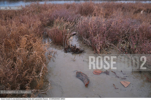 Caption: Nome:..ISOLA DEL LAZZARETTO NUOVO....Localizzazione:..VENEZIA / ISOLA DEL LAZZARETTO NUOVO / LAGUNA NORD..VENICE / THE ISLE OF LAZZARETTO NUOVO / THE NORTH LAGOON..Soggetto:..ISOLA DEL LAZZARETTO NUOVO / ..COCCI TROVATI IN BARENE..ARCHEOLOGIA..Cronologia:......Autore:.. ....Stile:......Editori Stampatori:......Committenza:......Materia e Tecnica:......Collocazione:..TESON GRANDO / ISOLA DEL LAZZARETTO NUOVO....Note:..NEL XV SEC. DIVENTA LAZZARETTO PER LESPURGO DELLE MERCI E SUCCESSIVAMENTE DELLE PERSONE SOSPETTE DI CONTAGIO. DOPO LA PESTILENZA DEL XVI SEC. VIENE ABBANDONATA E NEL 1800 DIVENTA ZONA MILITARE ..THE ISLAND BECAME A QUARANTINE STATION IN XVth CENTURY, FIRST FOR GOODS AND LATER FOR INDIVIDUALS SUSPECTED OF BEING INFECTED. AFTER THE PLAGUES OF THE XVIth CENTURY, THE ISLAND WAS ABANDONED AND IT BECAME A MILITARY POST IN 1800 ..Riproduzione Fotografica:..Graziano Arici/Rosebud2 ...Copyright:..Graziano Arici / rosebud2/....Data:..1999....Costo:..A....Key:..ISOLE ABBANDONATE..UNINHABITED ISLANDS