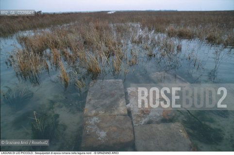 Caption: Nome:..LIO PICCOLO..Localizzazione:..VENEZIA / LAGUNA DI LIO PICCOLO / LAGUNA NORD..VENICE / LIO PICCOLO   / THE NORTH LAGOON..Soggetto:..LAGUNA DI LIO PICCOLO : Sesquipedali di epoca romana nella laguna nord..ARCHEOLOGIA..Cronologia:......Autore:......Stile:......Editori Stampatori:......Committenza:......Materia e Tecnica:......Collocazione:......Note:....Riproduzione Fotografica:..Graziano Arici/Rosebud2 ...Copyright:..Graziano Arici / rosebud2/....Data:..1993....Costo:..A....Key:..ISOLE ABBANDONATE..UNINHABITED ISLANDS