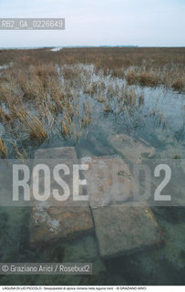 Caption: Nome:..LIO PICCOLO..Localizzazione:..VENEZIA / LAGUNA DI LIO PICCOLO / LAGUNA NORD..VENICE / LIO PICCOLO   / THE NORTH LAGOON..Soggetto:..LAGUNA DI LIO PICCOLO : Sesquipedali di epoca romana nella laguna nord..ARCHEOLOGIA..Cronologia:......Autore:......Stile:......Editori Stampatori:......Committenza:......Materia e Tecnica:......Collocazione:......Note:....Riproduzione Fotografica:..Graziano Arici/Rosebud2 ...Copyright:..Graziano Arici / rosebud2/....Data:..1993....Costo:..A....Key:..ISOLE ABBANDONATE..UNINHABITED ISLANDS