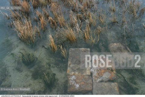 Caption: Nome:..LIO PICCOLO..Localizzazione:..VENEZIA / LAGUNA DI LIO PICCOLO / LAGUNA NORD..VENICE / LIO PICCOLO   / THE NORTH LAGOON..Soggetto:..LAGUNA DI LIO PICCOLO : Sesquipedali di epoca romana nella laguna nord..ARCHEOLOGIA..Cronologia:......Autore:......Stile:......Editori Stampatori:......Committenza:......Materia e Tecnica:......Collocazione:......Note:....Riproduzione Fotografica:..Graziano Arici/Rosebud2 ...Copyright:..Graziano Arici / rosebud2/....Data:..1993....Costo:..A....Key:..ISOLE ABBANDONATE..UNINHABITED ISLANDS