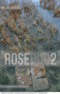 Caption: Nome:..LIO PICCOLO..Localizzazione:..VENEZIA / LAGUNA DI LIO PICCOLO / LAGUNA NORD..VENICE / LIO PICCOLO   / THE NORTH LAGOON..Soggetto:..LAGUNA DI LIO PICCOLO : Sesquipedali di epoca romana nella laguna nord..ARCHEOLOGIA..Cronologia:......Autore:......Stile:......Editori Stampatori:......Committenza:......Materia e Tecnica:......Collocazione:......Note:....Riproduzione Fotografica:..Graziano Arici/Rosebud2 ...Copyright:..Graziano Arici / rosebud2/....Data:..1993....Costo:..A....Key:..ISOLE ABBANDONATE..UNINHABITED ISLANDS