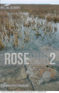 Caption: Nome:..LIO PICCOLO..Localizzazione:..VENEZIA / LAGUNA DI LIO PICCOLO / LAGUNA NORD..VENICE / LIO PICCOLO   / THE NORTH LAGOON..Soggetto:..LAGUNA DI LIO PICCOLO : Sesquipedali di epoca romana nella laguna nord..ARCHEOLOGIA..Cronologia:......Autore:......Stile:......Editori Stampatori:......Committenza:......Materia e Tecnica:......Collocazione:......Note:....Riproduzione Fotografica:..Graziano Arici/Rosebud2 ...Copyright:..Graziano Arici / rosebud2/....Data:..1993....Costo:..A....Key:..ISOLE ABBANDONATE..UNINHABITED ISLANDS