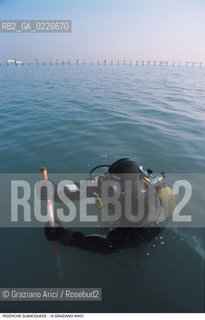 Caption: Nome:..BARENA SITO DI SAN MARCO IN BOCCALAMA....Localizzazione:..VENEZIA /  LAGUNA SUD..VENICE /  THE SOUTH LAGOON..Soggetto:..RICERCHE SUBACQUEEE IDRA ..ARCHEOLOGIA..Cronologia:......Autore:......Stile:......Editori Stampatori:......Committenza:......Materia e Tecnica:......Collocazione:......Note:....Riproduzione Fotografica:..Graziano Arici/Rosebud2 ...Copyright:..Graziano Arici / rosebud2/....Data:..1993....Costo:..A....Key:..ISOLE ABBANDONATE..UNINHABITED ISLANDS