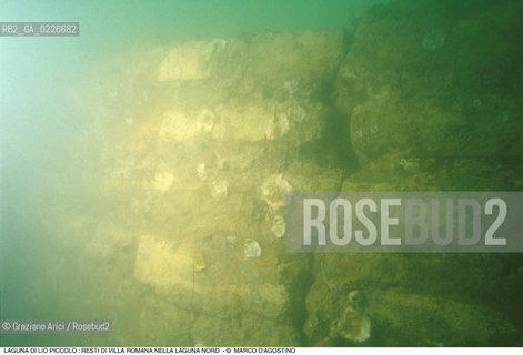 Caption: Nome:..LIO PICCOLO..Localizzazione:..VENEZIA / LAGUNA DI LIO PICCOLO / LAGUNA NORD..VENICE / LIO PICCOLO   / THE NORTH LAGOON..Soggetto:..LAGUNA DI LIO PICCOLO : Sesquipedali di epoca romana nella laguna nord / VILLA ROMANA..ARCHEOLOGIA SUBACQUEA..Cronologia:......Autore:......Stile:......Editori Stampatori:......Committenza:......Materia e Tecnica:......Collocazione:......Note:....Riproduzione Fotografica:..MARCO DAGOSTINO....Copyright:..MARCO DAGOSTINO....Data:..1993....Costo:..A....Key:..ISOLE ABBANDONATE..UNINHABITED ISLANDS