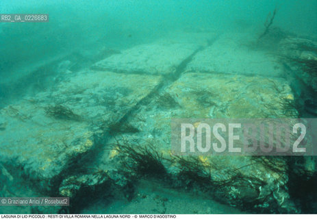 Caption: Nome:..LIO PICCOLO..Localizzazione:..VENEZIA / LAGUNA DI LIO PICCOLO / LAGUNA NORD..VENICE / LIO PICCOLO   / THE NORTH LAGOON..Soggetto:..LAGUNA DI LIO PICCOLO : Sesquipedali di epoca romana nella laguna nord / VILLA ROMANA..ARCHEOLOGIA SUBACQUEA..Cronologia:......Autore:......Stile:......Editori Stampatori:......Committenza:......Materia e Tecnica:......Collocazione:......Note:....Riproduzione Fotografica:..MARCO DAGOSTINO....Copyright:..MARCO DAGOSTINO....Data:..1993....Costo:..A....Key:..ISOLE ABBANDONATE..UNINHABITED ISLANDS