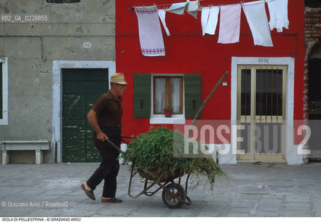 Localizzazione:..VENEZIA / ISOLA DI PELLESTRINA..Oggetto:..Soggetto:..AGRICOLTORE..Cronologia: ....Definizione Culturale:..   Autore:....   Stile:..   Editori/Stampatori:..   Committenza:..Materia e Tecnica:....Collocazione:..Note:..LIDO..Riproduzione Fotografica:..Copyright:..Graziano Arici/Rosebud2 .Data:..1990..Costo:..A