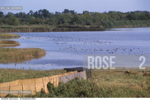 Localizzazione:..VENEZIA / LAGUNA SUD..Oggetto:..Soggetto:..OASI FAUNISTICA DI VALLE AVERTO..Cronologia: ....Definizione Culturale:..   Autore:....   Stile:..   Editori/Stampatori:..   Committenza:..Materia e Tecnica:....Collocazione:..Note:..LAGUNA - PESCA..Riproduzione Fotografica:..Copyright:..Graziano Arici/Rosebud2 .Data:..1995..Costo:..A