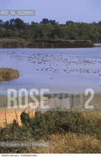 Localizzazione:..VENEZIA / LAGUNA SUD..Oggetto:..Soggetto:..OASI FAUNISTICA DI VALLE AVERTO / WWF..Cronologia: ....Definizione Culturale:..   Autore:....   Stile:..   Editori/Stampatori:..   Committenza:..Materia e Tecnica:....Collocazione:..Note:..LAGUNA - PESCA..Riproduzione Fotografica:..Copyright:..Graziano Arici/Rosebud2 .Data:..1995..Costo:..A
