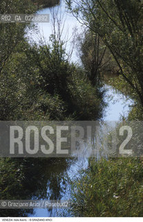 Localizzazione:..VENEZIA / LAGUNA SUD..Oggetto:..Soggetto:..OASI FAUNISTICA DI VALLE AVERTO / WWF..Cronologia: ....Definizione Culturale:..   Autore:....   Stile:..   Editori/Stampatori:..   Committenza:..Materia e Tecnica:....Collocazione:..Note:..LAGUNA - PESCA..Riproduzione Fotografica:..Copyright:..Graziano Arici/Rosebud2 .Data:..1995..Costo:..A