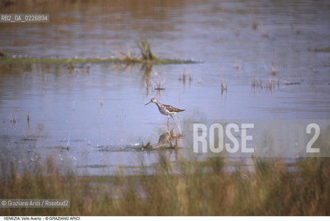 Localizzazione:..VENEZIA / LAGUNA SUD..Oggetto:..Soggetto:..OASI FAUNISTICA DI VALLE AVERTO / UCCELLO WWF..Cronologia: ....Definizione Culturale:..   Autore:....   Stile:..   Editori/Stampatori:..   Committenza:..Materia e Tecnica:....Collocazione:..Note:..LAGUNA - PESCA..Riproduzione Fotografica:..Copyright:..Graziano Arici/Rosebud2 .Data:..1995..Costo:..A