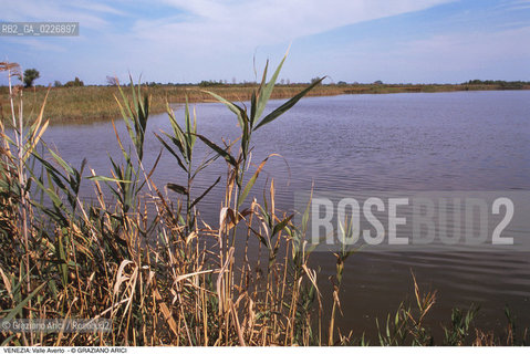 Localizzazione:..VENEZIA / LAGUNA SUD..Oggetto:..Soggetto:..OASI FAUNISTICA DI VALLE AVERTO / BARENE WWF..Cronologia: ....Definizione Culturale:..   Autore:....   Stile:..   Editori/Stampatori:..   Committenza:..Materia e Tecnica:....Collocazione:..Note:..LAGUNA - PESCA..Riproduzione Fotografica:..Copyright:..Graziano Arici/Rosebud2 .Data:..1995..Costo:..A