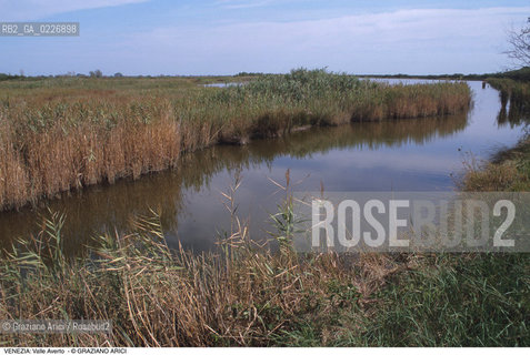 Localizzazione:..VENEZIA / LAGUNA SUD..Oggetto:..Soggetto:..OASI FAUNISTICA DI VALLE AVERTO / BARENE WWF..Cronologia: ....Definizione Culturale:..   Autore:....   Stile:..   Editori/Stampatori:..   Committenza:..Materia e Tecnica:....Collocazione:..Note:..LAGUNA - PESCA..Riproduzione Fotografica:..Copyright:..Graziano Arici/Rosebud2 .Data:..1995..Costo:..A