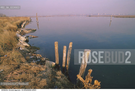 Localizzazione:..VENEZIA / LAGUNA NORD..Oggetto:..Soggetto:..GRONDA LAGUNARE A S. GIULIANO / PALIFICAZIONI..Cronologia: ....Definizione Culturale:..   Autore:....   Stile:..   Editori/Stampatori:..   Committenza:..Materia e Tecnica:....Collocazione:..Note:..LAGUNA - PESCA..Riproduzione Fotografica:..Copyright:..Graziano Arici/Rosebud2 .Data:..1995..Costo:..A
