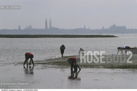 Localizzazione:..VENEZIA / LAGUNA..Oggetto:..Soggetto:..VONGOLARI IN BARENA..Cronologia: ....Definizione Culturale:..   Autore:....   Stile:..   Editori/Stampatori:..   Committenza:..Materia e Tecnica:....Collocazione:..Note:..LAGUNA - PESCA..Riproduzione Fotografica:..Copyright:..Graziano Arici/Rosebud2 .Data:..1995..Costo:..A