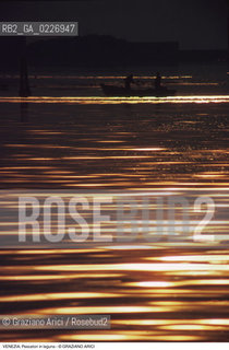 Localizzazione:..VENEZIA / LAGUNA..Oggetto:..Soggetto:..PESCATORI TRAMONTO..Cronologia: ....Definizione Culturale:..   Autore:....   Stile:..   Editori/Stampatori:..   Committenza:..Materia e Tecnica:....Collocazione:..Note:..LAGUNA - PESCA..Riproduzione Fotografica:..Copyright:..Graziano Arici/Rosebud2 .Data:..1995..Costo:..A