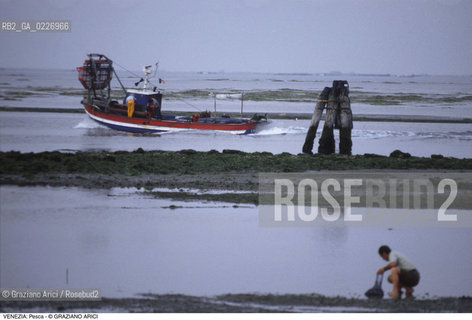 Localizzazione:..VENEZIA / LAGUNA..Oggetto:..Soggetto:..PESCATORI BARENE PESCHERECCIO..Cronologia: ....Definizione Culturale:..   Autore:....   Stile:..   Editori/Stampatori:..   Committenza:..Materia e Tecnica:....Collocazione:..Note:..LAGUNA - PESCA..Riproduzione Fotografica:..Copyright:..Graziano Arici/Rosebud2 .Data:..1990..Costo:..A