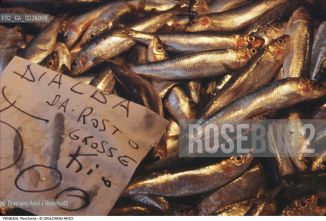 Localizzazione:..VENEZIA / S. POLO..Oggetto:..Soggetto:..MERCATO ITTICO DI RIALTO / PESCHERIA PESCE..Cronologia: ....Definizione Culturale:..   Autore:....   Stile:..   Editori/Stampatori:..   Committenza:..Materia e Tecnica:....Collocazione:..Note:..MERCATI..Riproduzione Fotografica:..Copyright:..Graziano Arici/Rosebud2 .Data:..1985..Costo:..A