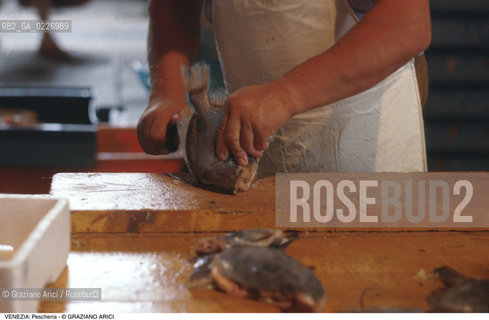 Localizzazione:..VENEZIA / S. POLO..Oggetto:..Soggetto:..MERCATO ITTICO DI RIALTO / PESCHERIA PESCE PULIZIA..Cronologia: ....Definizione Culturale:..   Autore:....   Stile:..   Editori/Stampatori:..   Committenza:..Materia e Tecnica:....Collocazione:..Note:..MERCATI..Riproduzione Fotografica:..Copyright:..Graziano Arici/Rosebud2 .Data:..1985..Costo:..A