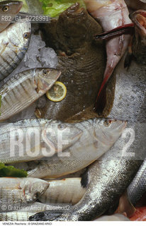 Localizzazione:..VENEZIA / S. POLO..Oggetto:..Soggetto:..MERCATO ITTICO DI RIALTO / PESCHERIA PESCE..Cronologia: ....Definizione Culturale:..   Autore:....   Stile:..   Editori/Stampatori:..   Committenza:..Materia e Tecnica:....Collocazione:..Note:..MERCATI..Riproduzione Fotografica:..Copyright:..Graziano Arici/Rosebud2 .Data:..1985..Costo:..A