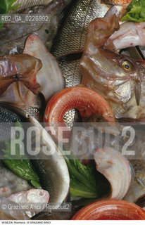 Localizzazione:..VENEZIA / S. POLO..Oggetto:..Soggetto:..MERCATO ITTICO DI RIALTO / PESCHERIA PESCE..Cronologia: ....Definizione Culturale:..   Autore:....   Stile:..   Editori/Stampatori:..   Committenza:..Materia e Tecnica:....Collocazione:..Note:..MERCATI..Riproduzione Fotografica:..Copyright:..Graziano Arici/Rosebud2 .Data:..1985..Costo:..A