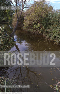 Localizzazione:..VENEZIA / LAGUNA NORD..Oggetto:..Soggetto:..LIO PICCOLO..Cronologia: ....Definizione Culturale:..   Autore:....   Stile:..   Editori/Stampatori:..   Committenza:..Materia e Tecnica:....Collocazione:..Note:..LAGUNA - PESCA..Riproduzione Fotografica:..Copyright:..Graziano Arici/Rosebud2 .Data:..1995..Costo:..A