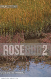 Localizzazione:..VENEZIA / LAGUNA NORD..Oggetto:..Soggetto:..LIO PICCOLO / BARENE..Cronologia: ....Definizione Culturale:..   Autore:....   Stile:..   Editori/Stampatori:..   Committenza:..Materia e Tecnica:....Collocazione:..Note:..LAGUNA - PESCA..Riproduzione Fotografica:..Copyright:..Graziano Arici/Rosebud2 .Data:..1995..Costo:..A