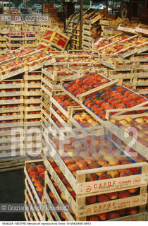 Localizzazione:..VENEZIA / MESTRE..Oggetto:..Soggetto:..MERCATO DI FRUTTA E VERDURA ALL INGROSSO DI VIA TORINO / PESCHE ..Cronologia: ....Definizione Culturale:..   Autore:....   Stile:..   Editori/Stampatori:..   Committenza:..Materia e Tecnica:....Collocazione:..Note:..MERCATI..Riproduzione Fotografica:..Copyright:..Graziano Arici/Rosebud2 .Data:..1990..Costo:..A