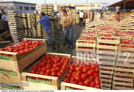 Localizzazione:..VENEZIA / MESTRE..Oggetto:..Soggetto:..MERCATO DI FRUTTA E VERDURA ALL INGROSSO DI VIA TORINO / POMODORI PESCHE ..Cronologia: ....Definizione Culturale:..   Autore:....   Stile:..   Editori/Stampatori:..   Committenza:..Materia e Tecnica:....Collocazione:..Note:..MERCATI..Riproduzione Fotografica:..Copyright:..Graziano Arici/Rosebud2 .Data:..1990..Costo:..A