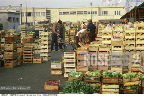 Localizzazione:..VENEZIA / MESTRE..Oggetto:..Soggetto:..MERCATO DI FRUTTA E VERDURA ALL INGROSSO DI VIA TORINO..Cronologia: ....Definizione Culturale:..   Autore:....   Stile:..   Editori/Stampatori:..   Committenza:..Materia e Tecnica:....Collocazione:..Note:..MERCATI..Riproduzione Fotografica:..Copyright:..Graziano Arici/Rosebud2 .Data:..1990..Costo:..A