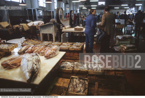 Localizzazione:..VENEZIA / TRONCHETTO..Oggetto:..Soggetto:..MERCATO DI PESCE ALL INGROSSO..Cronologia: ....Definizione Culturale:..   Autore:....   Stile:..   Editori/Stampatori:..   Committenza:..Materia e Tecnica:....Collocazione:..Note:..MERCATI..Riproduzione Fotografica:..Copyright:..Graziano Arici/Rosebud2 .Data:..1990..Costo:..A