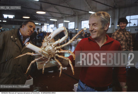 Localizzazione:..VENEZIA / TRONCHETTO..Oggetto:..Soggetto:..MERCATO DI PESCE ALL INGROSSO / GRANCEOLA..Cronologia: ....Definizione Culturale:..   Autore:....   Stile:..   Editori/Stampatori:..   Committenza:..Materia e Tecnica:....Collocazione:..Note:..MERCATI..Riproduzione Fotografica:..Copyright:..Graziano Arici/Rosebud2 .Data:..1990..Costo:..A