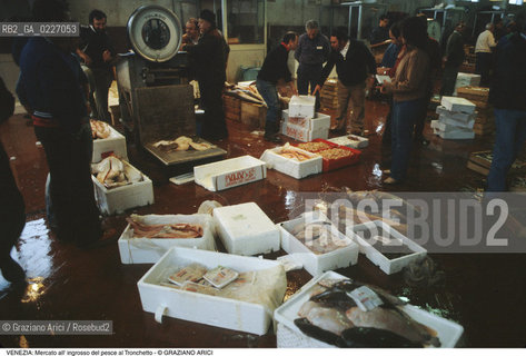 Localizzazione:..VENEZIA / TRONCHETTO..Oggetto:..Soggetto:..MERCATO DI PESCE ALL INGROSSO..Cronologia: ....Definizione Culturale:..   Autore:....   Stile:..   Editori/Stampatori:..   Committenza:..Materia e Tecnica:....Collocazione:..Note:..MERCATI..Riproduzione Fotografica:..Copyright:..Graziano Arici/Rosebud2 .Data:..1990..Costo:..A