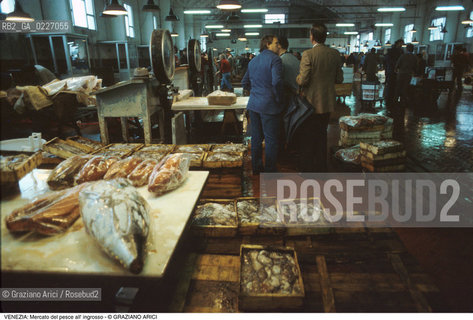 Localizzazione:..VENEZIA / TRONCHETTO..Oggetto:..Soggetto:..MERCATO DI PESCE ALL INGROSSO..Cronologia: ....Definizione Culturale:..   Autore:....   Stile:..   Editori/Stampatori:..   Committenza:..Materia e Tecnica:....Collocazione:..Note:..MERCATI..Riproduzione Fotografica:..Copyright:..Graziano Arici/Rosebud2 .Data:..1990..Costo:..A