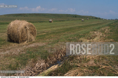 Localizzazione:..DOGALETTO..Oggetto:..Soggetto:..DISCARICA INQUINAMENTO..Cronologia: ....Definizione Culturale:..   Autore:....   Stile:..   Editori/Stampatori:..   Committenza:..Materia e Tecnica:....Collocazione:..Note:..DISCARICHE..Riproduzione Fotografica:..Copyright:..Graziano Arici/Rosebud2 .Data:..1998..Costo:..A