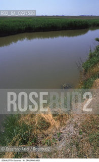 Localizzazione:..DOGALETTO..Oggetto:..Soggetto:..DISCARICA INQUINAMENTO..Cronologia: ....Definizione Culturale:..   Autore:....   Stile:..   Editori/Stampatori:..   Committenza:..Materia e Tecnica:....Collocazione:..Note:..DISCARICHE..Riproduzione Fotografica:..Copyright:..Graziano Arici/Rosebud2 .Data:..1998..Costo:..A