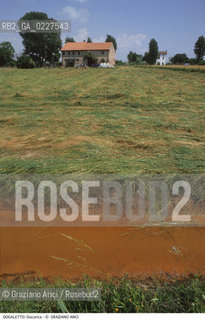 Localizzazione:..DOGALETTO..Oggetto:..Soggetto:..DISCARICA INQUINAMENTO RIFIUTI TOSSICI..Cronologia: ....Definizione Culturale:..   Autore:....   Stile:..   Editori/Stampatori:..   Committenza:..Materia e Tecnica:....Collocazione:..Note:..DISCARICHE..Riproduzione Fotografica:..Copyright:..Graziano Arici/Rosebud2 .Data:..1998..Costo:..A