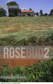 Localizzazione:..DOGALETTO..Oggetto:..Soggetto:..DISCARICA INQUINAMENTO RIFIUTI TOSSICI..Cronologia: ....Definizione Culturale:..   Autore:....   Stile:..   Editori/Stampatori:..   Committenza:..Materia e Tecnica:....Collocazione:..Note:..DISCARICHE..Riproduzione Fotografica:..Copyright:..Graziano Arici/Rosebud2 .Data:..1998..Costo:..A