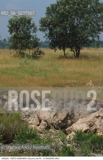 Localizzazione:..VENEZIA / PORTO MARGHERA..Oggetto:..Soggetto:..DISCARICA DEI PILI / INQUINAMENTO RIFIUTI TOSSICI..Cronologia: ....Definizione Culturale:..   Autore:....   Stile:..   Editori/Stampatori:..   Committenza:..Materia e Tecnica:....Collocazione:..Note:..DISCARICHE..Riproduzione Fotografica:..Copyright:..Graziano Arici/Rosebud2 .Data:..1999..Costo:..A