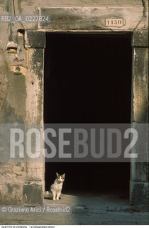 Caption: Nome:..GHETTO VECCHIO : PORTA DI ENTRATA DI ABITAZIONI....Localizzazione:..VENEZIA / CANNAREGIO / GHETTO VECCHIO  ..VENICE / CANNAREGIO  / GHETTO VECCHIO   ..Soggetto:..PORTA..DOOR..Cronologia:......Autore:......Stile:......Editori Stampatori:......Committenza:......Materia e Tecnica:......Collocazione:......Note:..GATTO..CAT ..Riproduzione Fotografica:..Graziano Arici/Rosebud2  ....Copyright:..Graziano Arici/Rosebud2/  ....Data:..1994....Costo:..A....Key:..GHETTO VECCHIO  ESTERNI  ..EXTERIORS