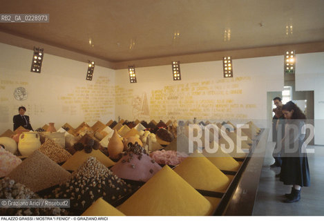 Nome: ..PALAZZO GRASSI..Descrizione: ..MOSTRA I FENICI ..Credit: ..Graziano Arici/Rosebud2 ...Nazione: ..ITALIA..Città: ....Data: ..1988