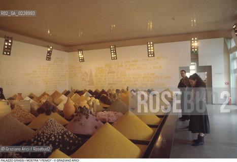 Nome: ..PALAZZO GRASSI..Descrizione: ..MOSTRA I FENICI ..Credit: ..Graziano Arici/Rosebud2 ...Nazione: ..ITALIA..Città: ....Data: ..1988