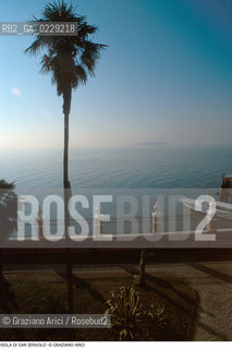 Localizzazione:..VENEZIA / ISOLA DI SAN SERVOLO  / LAGUNA SUD..VENICE / THE ISLE OF SAN SERVOLO / THE SOUTH  LAGOON..Soggetto:..ISOLA DI SAN SERVOLO / ALBERO PALMA ..THE ISLE OF SAN SERVOLO ..Cronologia:..SEC. XVIII..XVIII CENTURY..Autore:..SCALFAROTTO GIOVANNI ANTONIO / 1690 ca - 1764 ....Stile:......Editori Stampatori:......Committenza:......Materia e Tecnica:......Collocazione:......Note:..DAL 1734 DIVENNE RICOVERO PER MALATTIE MENTALI FINO AL 1979 / DAL1982 OSPITA LA SCUOLA EUROPEA DI ONCOLOGIA E IL CENTRO EUROPEO PER RESTAURATORI / DAL 1996 E SEDE DELLA VENICE INTERNATIONAL UNIVERSITY / RIUSO..FROM 1734 TO 1979 IT WAS USED AS A MENTAL HOSPITAL / IN 1982  IT BECAME THE SEAT OF EUROPEAN SCHOOL OF ONCOLOGY  AND  OF THE EUROPEAN  CENTRE FOR RESTORERS / IN 1996 IT BECAME THE SEAT OF THE VENICE INTERNATIONAL UNIVERSITY /  RE-USE ..Riproduzione Fotografica:..Graziano Arici/Rosebud2 ...Copyright:..Graziano Arici / rosebud2/....Data:..2000....Costo:..A....Key:..ISOLE ABBANDONATE ..UNINHABITED ISLANDS