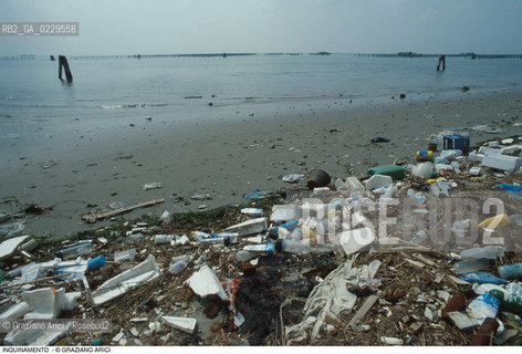 Caption: Localizzazione:..VENEZIA / LIDO..Oggetto:..Soggetto:..IMMONDIZIE IN SPIAGGIA S. NICCOLO..Cronologia: ..Definizione Culturale:..   Autore: ..   Stile: ..   Editori/Stampatori:..   Committenza:..Materia e Tecnica:..Collocazione:..Note:..PROBLEMI INQUINAMENTO..Riproduzione Fotografica:..Graziano Arici/Rosebud2 .Copyright:..Graziano Arici/Rosebud2 .Data:..1984..Costo:..A